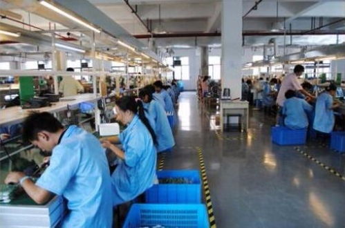 顺德区杏坛镇劳务派遣 一对一精准服务，助力企业高效用工